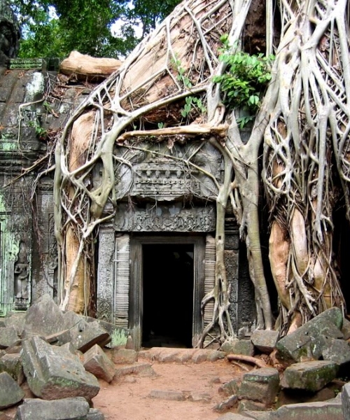 CAMBODIA SECRET 9D